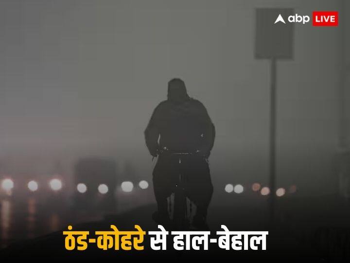 delhi ncr UP mp winter cold fog zero visibility schools timings changed flights diverted train late दिल्ली-NCR से पंजाब-यूपी तक ठंड और कोहरे का सितम, 134 फ्लाइट्स-22 ट्रेनें लेट; कई जिलों में स्कूल बंद