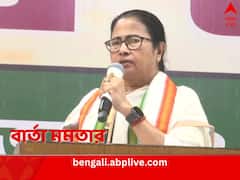 ‘পুরনো চাল ভাতে বাড়ে, নতুন চাল আগে বাড়ে’, তৃণমূলে নবীন-প্রবীণ দ্বন্দ্বে স্পষ্ট বার্তা মমতার