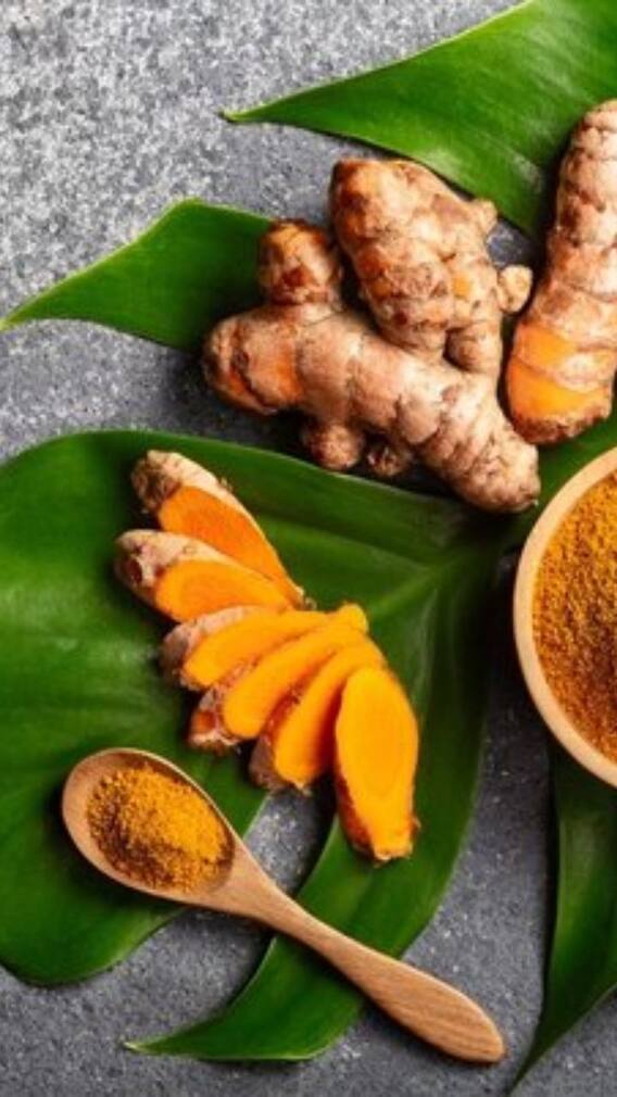 ਇੱਕ ਹੀ ਪੌਦੇ 'ਚ ਲਾ ਸਕਦੇ ਅਦਰਕ ਅਤੇ ਹਲਦੀ