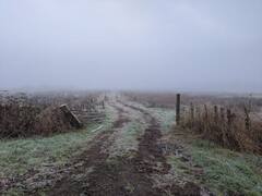 ज्यादा कोहरा किसानों के लिए अच्छा या खराब? आपके खेत में भी है तो ये काम करें