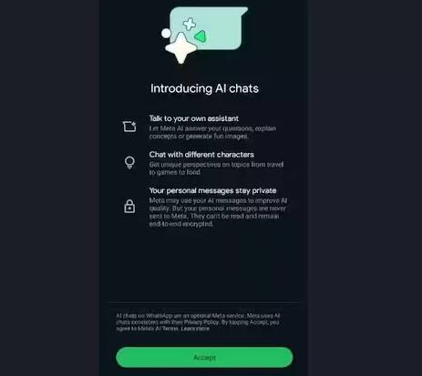 Meta AI ની મદદથી તમે અન્ય ચેટબોટ્સની જેમ વિવિધ વિષયો પર માહિતી મેળવી શકશો. ચેટબોટ સાથે વાતચીત શરૂ કરતા પહેલા, તમને એક વિકલ્પ મળશે જેમાં તમારે તમામ T&C સ્વીકારવા પડશે. એવું કહેવામાં આવ્યું છે કે કંપની ચેટબોટને વધુ સારુ બનાવવા માટે તેના AI ચેટિંગ અનુભવનો ઉપયોગ કરશે. એટલે કે, તમારા ટેસ્ટ, સવાલોની પદ્ધતિ વગેરે બધું જ AI ચેટબોટને સુધારવા માટે ઉપયોગમાં લેવાશે.