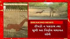 Rajkot News : દીપડાના આંટાફેરાની આશંકાથી રાજકોટમાં ફફડાટ