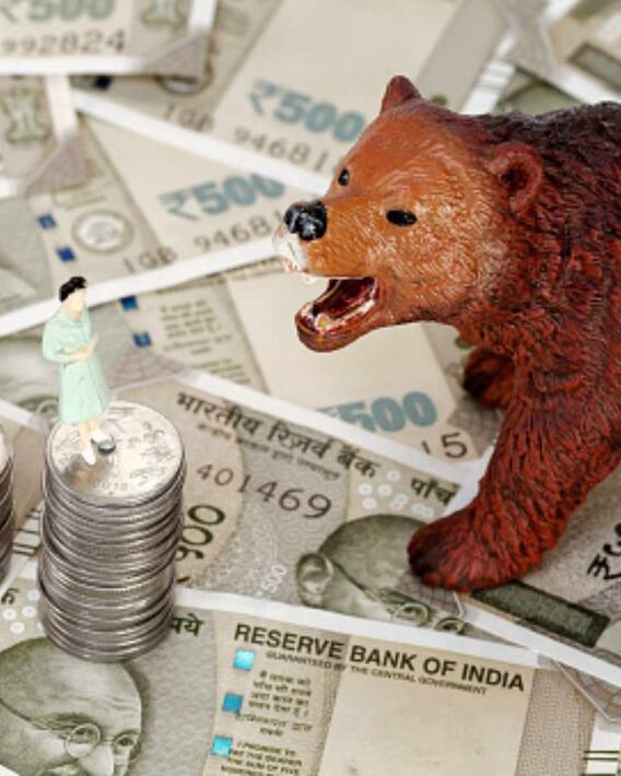 Stock Market Gainers And Losers Today