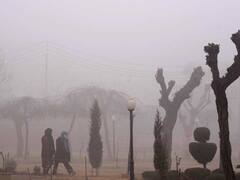 कोहरा घटा, ठिठुरन बढ़ी, शीत लहर की चपेट में पूरा उत्तर भारत, तस्वीरों में देखें मौसम का हाल