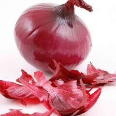 ਸ਼ੂਗਰ ਕੰਟਰੋਲ ਕਰਨ ਤੋਂ ਲੈ ਕੇ ਕਬਜ਼ ਦੂਰ ਕਰਨ ਤੱਕ, ਜਾਣੋ ਕੱਚੇ ਪਿਆਜ਼ ਦੇ ਫ਼ਾਇਦੇ