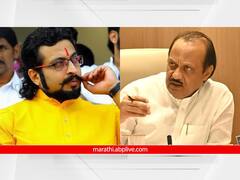 डरकाळी फोडणारा वाघ जेव्हा पिंजऱ्यात जातो त्यावेळी वेदना होतात, आता सर्कशीसारखी अवस्था; अजित पवारांचे नाव न घेता अमोल कोल्हेंची टीका