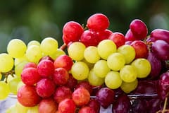 Pakistan Vegetable Praice : पाकिस्तानमधील भाज्यांचे दर एकूण  तुम्ह्लाही धक्का बसेल; 1 किलो भेंडीचा भाव 450 रुपयांच्या पुढे