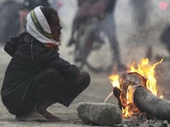 Delhi Weather Update: दिल्ली में सर्दी का सितम शुरू! शीतलहर की चेतावनी जारी, जानें- अगले दो दिन कैसा रहेगा मौसम?