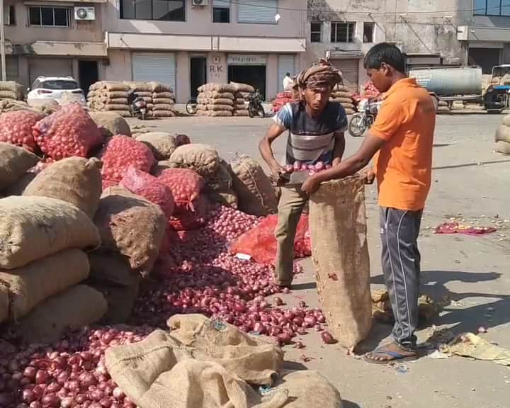 Onion ripening farmers will get news of relief, government is ready to lift the ban on exports ડુંગળી પકવતા ખેડૂતોને મળશે રાહતના સમાચાર, નિકાસ પરનો પ્રતિબંધ હટાવવાની સરકારની તૈયારી