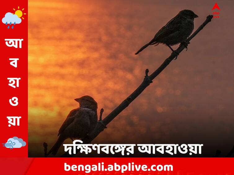 West bengal Weather South Bengal Temperature winter forecast 29 December 2023 South Bengal Weather: কোণঠাসা উত্তুরে হাওয়া, বছরশেষে দক্ষিণবঙ্গে উধাও শীত