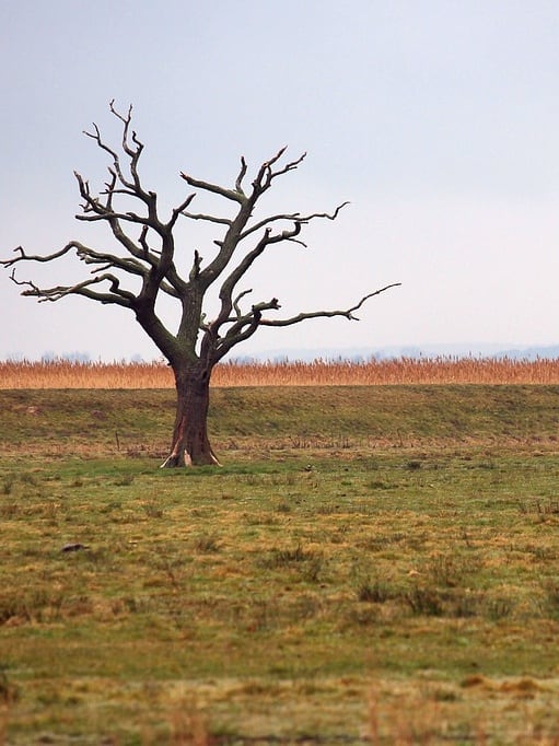 किस देश में एक भी पहाड़ नहीं है?