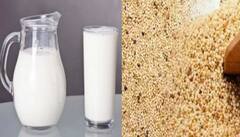 Poppy Seeds Benefits: ਅਫੀਮ ਦਾਦੀ ਖਸਖਸ... ਹੈਰਾਨ ਕਰ ਦੇਣਗੇ ਦੁੱਧ 'ਚ ਮਿਲਾ ਕੇ ਪੀਣ ਦੇ ਫਾਇਦੇ