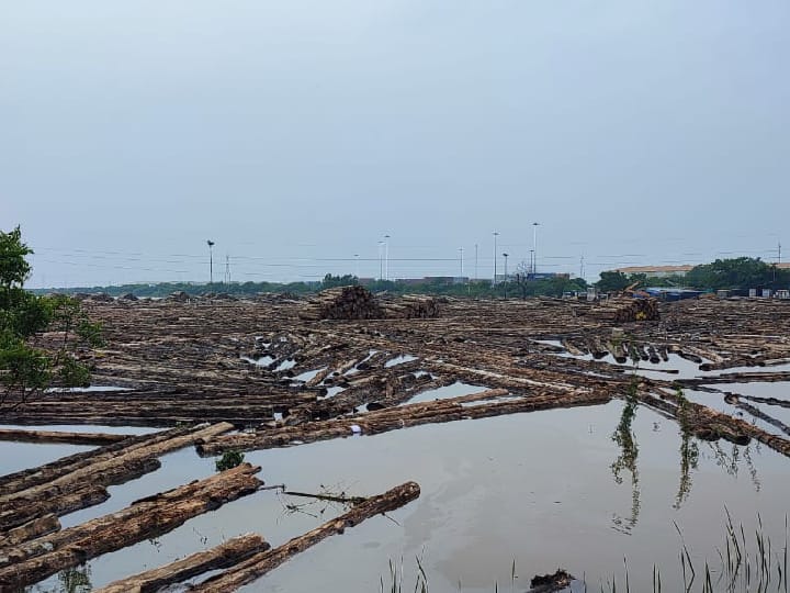 Thoothukudi: ஏற்றுமதி இறக்குமதியை கடும் பாதிப்புக்கு உள்ளாக்கிய கனமழை - உதவிக்கரம் நீட்டுமா அரசு?