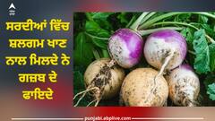 Shalgam Benefits: ਸਰਦੀਆਂ ਵਿੱਚ ਸ਼ਲਗਮ ਖਾਣ ਨਾਲ ਮਿਲਦੇ ਨੇ ਗਜ਼ਬ ਦੇ ਫਾਇਦੇ, ਸਿਹਤ ਨੂੰ ਪਹੁੰਚਦੇ ਚਮਤਕਾਰੀ ਲਾਭ