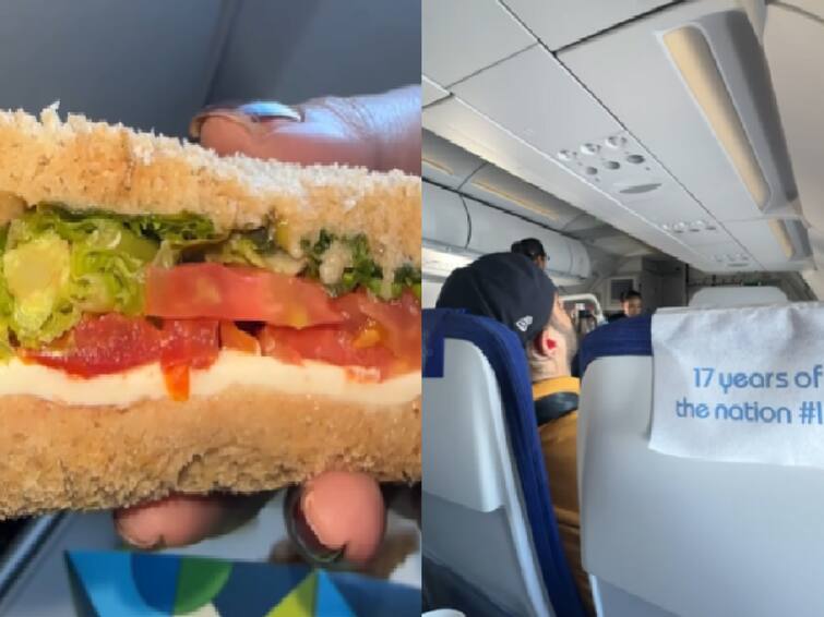 IndiGo passenger finds worm in sandwich served on flight airline responds Indigo Airline : इंडिगोच्या विमानात सँडविचमध्ये कीडे, महिलेने व्हिडीओ केला शेअर