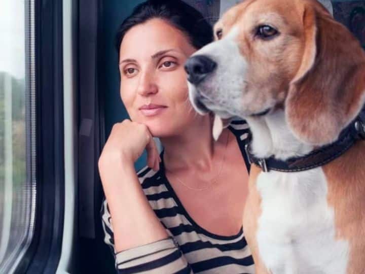 अगर आप विदेश में कहीं यात्रा करने जा रहे हैं. और साथ पालतू कुत्ता ले जाना चाहते हैं. तब भी आपको जो घरेलू उड़ानों में नियम हैं वो तो फाॅलो करने ही होंगे. लेकिन जिस देश जा रहे हैं वहां से भी पहले ही आपको पालतू जानवर लाने की अनुमति लेनी होगी.