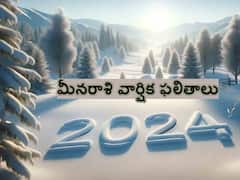 ఈ రాశివారికి 2024 లో ఆదాయం బావుంటుంది - మిగిలిన అన్ని విషయాల్లోనూ పోరాటం తప్పదు!