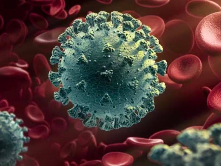 नए साल में पार्टी करते वक्त कोविड से भी सावधानी बरतना जरूरी है. स्वास्थ्य मंत्रालय के आंकड़ों के अनुसार भारत में 26 दिसंबर तक कोविड के नए वेरिएंट के कुल 109 मामले आ चुके हैं. एक्सपर्ट्स का कहना है कि ठंड बढ़ने के साथ ही यह मामले और बढ़ सकते हैं.