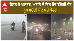Weather alert | ਕੋਲਡ ਡੇ ਅਲਰਟ, ਅਗਲੇ ਦੋ ਦਿਨ ਠੰਢ ਕੱਢੇਗੀ ਵੱਟ, ਖੂਬ ਪਏਗੀ ਧੁੰਦ ਅਤੇ ਕੋਹਰਾ
