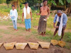 Tribal Festival: आदिवासी समाज की दीवाली! डेढ़ महीने तक चलने वाले 'दियारी त्यौहार' की परंपराएं सुन हो जाएंगे हैरान