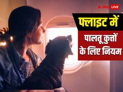 क्या पालतू कुत्ते को हवाई जहाज में ले जा सकते हैं, जानिए क्या कहते हैं नियम?