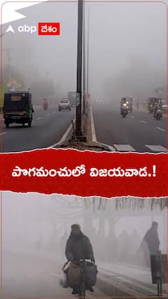 పొగమంచులో విజయవాడ.!