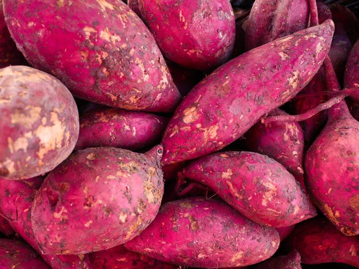 Benefits of sweet potato :  हिवाळ्यात रताळ्याचे सेवन फायदेशीर ठरते . कंदमुळे हिवाळ्यात जास्त फायदेशीर असतात , कारण ते शरीराला उबदार ठेवतात .