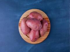 Health Tips: શિયાળામાં શરીરમાં રહેતી હોય સુસ્તી તો આ સુપર ફૂડ્સને ડાયટમાં કરો સામેલ, તરત જ મળશે પરિણામ