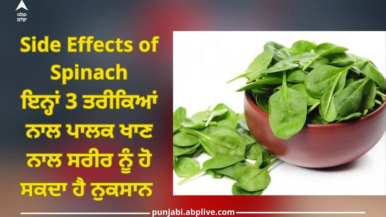 Spinach Side Effects: Eating spinach in these 3 ways can harm the body, stop doing this from today Spinach: ਇਨ੍ਹਾਂ 3 ਤਰੀਕਿਆਂ ਨਾਲ ਪਾਲਕ ਖਾਣ ਨਾਲ ਸਰੀਰ ਨੂੰ ਹੋ ਸਕਦੈ ਨੁਕਸਾਨ, ਅੱਜ ਤੋਂ ਹੀ ਅਜਿਹਾ ਕਰਨਾ ਕਰੋ ਬੰਦ