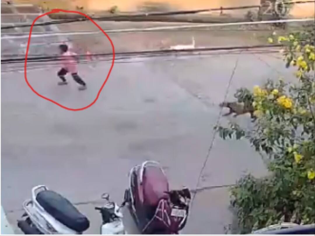 Dog Attack 6YearOld Boy Attacked By Stray Dogs In Andhra's Guntur