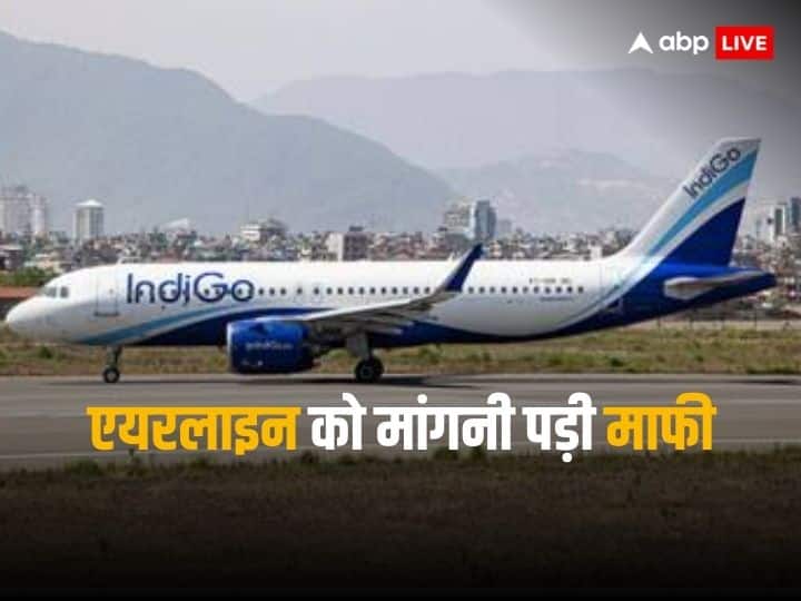 Indigo Airline: Insects found in sandwich in Indigo plane, female passenger shared video on social media