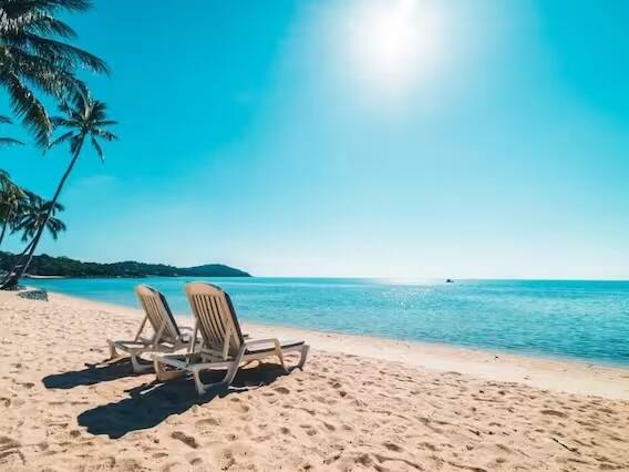 બટરફ્લાય બીચ ગોવાની સૌથી સુંદર જગ્યાઓમાંથી એક છે. આ ગોવાના થોડા સફેદ રેતીના બીચમાંથી એક છે. તે તેના સુંદર અને સ્વચ્છ પાણી અને ટ્રેકિંગના અનુભવને કારણે ધીરે ધીરે પ્રખ્યાત થઈ રહ્યું છે.