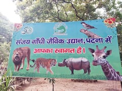 पटना जू और ईको पार्क में एक जनवरी को बढ़ा रहेगा टिकट का दाम, मॉर्निंग वॉक, नौका विहार बंद