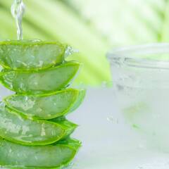 ਕੁਦਰਤ ਦਾ ਵਰਦਾਨ ਹੈ ਐਲੋਵੇਰਾ, ਜੋੜਾਂ ਦੇ ਦਰਦ ਤੋਂ ਪਾਚਨ ਸਬੰਧੀ ਰੋਗਾਂ 'ਚ ਹੈ ਰਾਮਬਾਣ