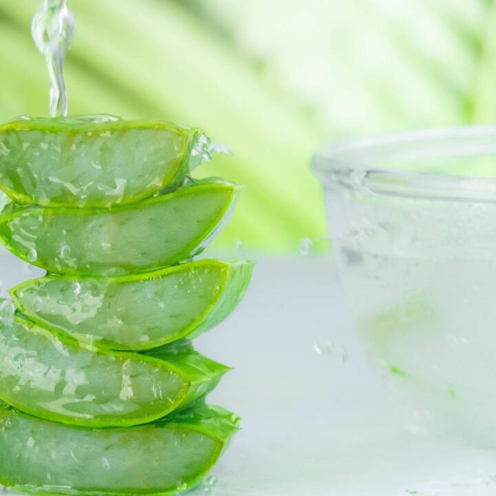 ਇਸ ਦੀ ਵਰਤੋਂ ’ਤੇ ਪੇਟ ਸਬੰਧੀ ਕਈ ਬੀਮਾਰੀਆਂ, ਸਿਰਦਰਦ, ਭੁੱਖ ਨਾ ਲੱਗਣਾ, ਦੰਦਾਂ ਦੀ ਸਮੱਸਿਆ ਵਰਗੀਆਂ ਕਈ ਸਮੱਸਿਆਵਾਂ ਤੋਂ ਆਸਾਨੀ ਨਾਲ ਛੁਟਕਾਰਾ ਪਾ ਸਕਦੇ ਹੋ।