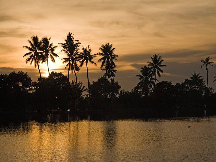 IRCTC Tour Package for Kerala: भारत के दक्षिण में स्थित केरल अपनी प्राकृतिक खूबसूरती के लिए जाना जाता है. नए साल में फरवरी में आप केरल घूमने का प्लान बना रहे हैं तो आईआरसीटीसी आपके लिए स्पेशल टूर पैकेज लेकर आया है.