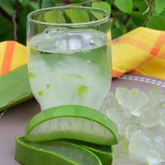 ਕੁਦਰਤ ਦਾ ਵਰਦਾਨ ਹੈ ਐਲੋਵੇਰਾ, ਜੋੜਾਂ ਦੇ ਦਰਦ ਤੋਂ ਪਾਚਨ ਸਬੰਧੀ ਰੋਗਾਂ 'ਚ ਹੈ ਰਾਮਬਾਣ