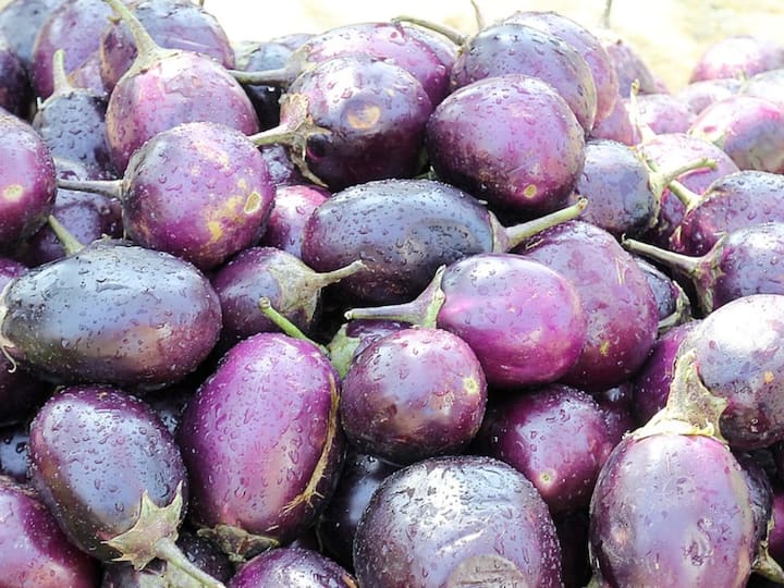 Brinjal :  गुणकारी वांगी!