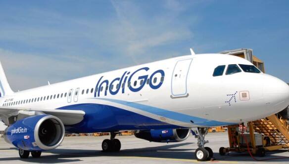indigo airline cabin crew served sandwiches with worm woman shared video on instagram  Indigo Airline: ઈન્ડિગો એરલાઈન્સમાં સેન્ડવિચમાં નિકળી ઈયળ, મહિલાએ સોશિયલ મીડિયા પર શેર કર્યો વીડિયો