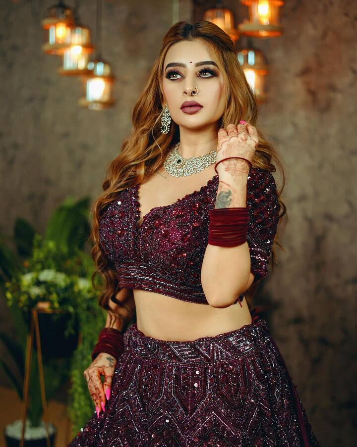 અંકિતાએ હિન્દી વેબસિરીઝ ZID (2020) થી અભિનયની શરૂઆત કરી હતી.