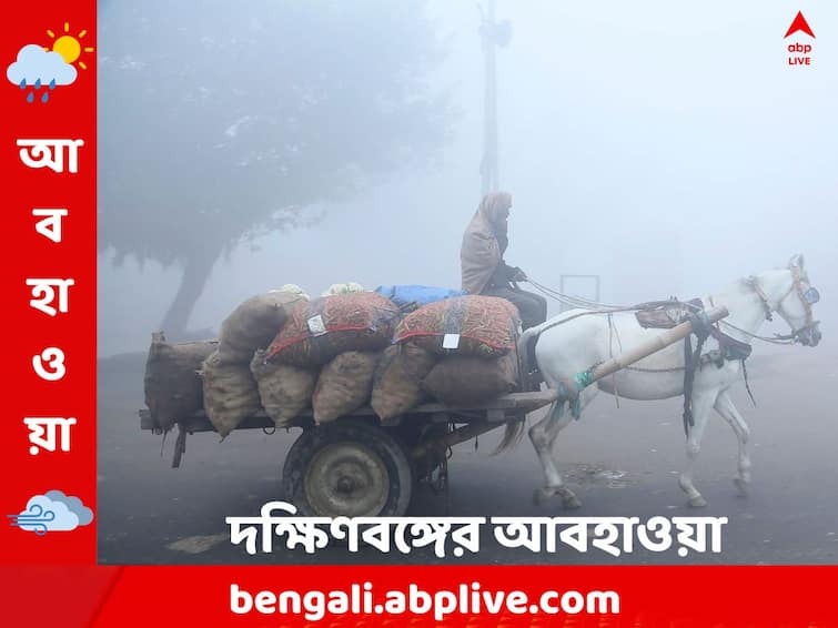 South Bengal weather update get to know weather forecast today from West Bengal on 31 December South Bengal Weather: জাঁকিয়ে শীতের সম্ভাবনা নেই, বর্ষশেষের দিনে কেমন আবহাওয়া থাকবে দক্ষিণবঙ্গে ?