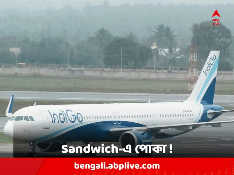 IndiGo apologizes after woman found worm in sandwich Indigo Flight: বিমানে পরিবেশন করা Sandwich-এ পোকা ! যাত্রীকে কী বলল IndiGo ?