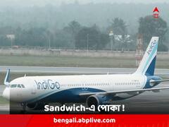 বিমানে পরিবেশন করা Sandwich-এ পোকা ! যাত্রীকে কী বলল IndiGo ?