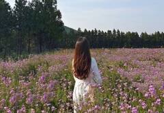 Ank Jyotish: આ જન્મતારીખ ધરાવતી યુવતી પતિ માટે સાબિત થાય છે લકી ચાર્મ, લગ્ન બાદ થાય છે ભાગ્યોદય