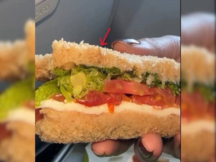 Woman Finds Worm In Sandwich On IndiGo Flight Airlines apologised சாண்ட்விச்சில் புழு! ஷாக்கான பயணி! மன்னிப்பு கேட்ட இண்டிகோ விமான நிறுவனம்
