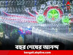 West Bengal News: নতুন করে স্বপ্ন দেখা শুরু, বছর শেষের আনন্দে মাতোয়ারা বাংলা