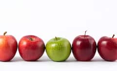 Black Diamond Apple: টাকা ফেললেই কেনা যায় না, পাওয়াও যায় না সব দেশে, এতটাই বিরল ব্ল্যাক ডায়মন্ড আপেল