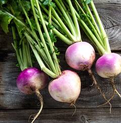 Turnip Benefits: ਸ਼ਲਗਮ ਖਾਣ ਦੇ ਇਹ 5 ਗਜ਼ਬ ਦੇ ਫਾਇਦੇ, ਆਓ ਜਾਂਦੇ ਹਾਂ...