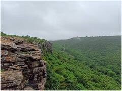 Happy New Year 2024: पर्यटकों से गुलजार हुआ बस्तर का ये हिल स्टेशन, प्राकृतिक नजारे का लुत्फ ले रहे सैलानी