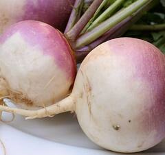 Turnip Benefits: ਸ਼ਲਗਮ ਖਾਣ ਦੇ ਇਹ 5 ਗਜ਼ਬ ਦੇ ਫਾਇਦੇ, ਆਓ ਜਾਂਦੇ ਹਾਂ...
